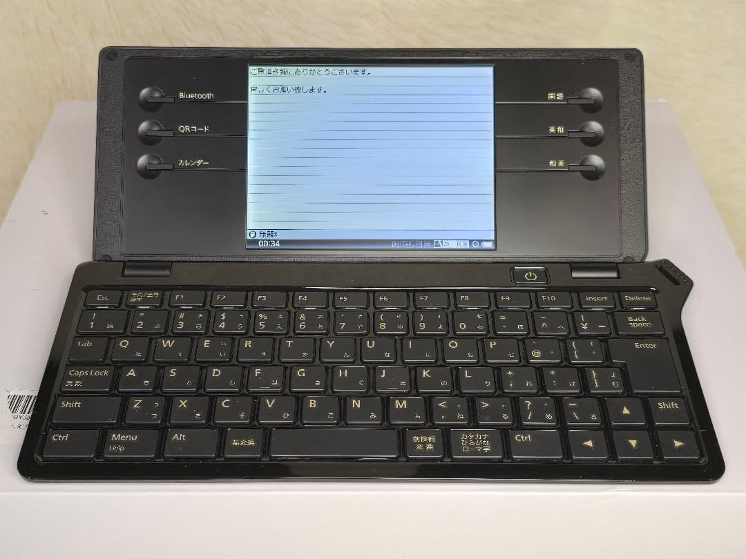 KINGJIM POMERA DM100　キングジム ポメラ DM100 美品