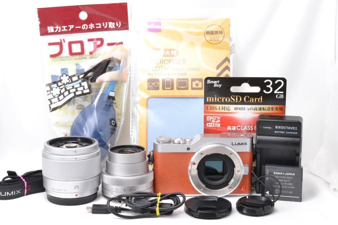 Panasonic LUMIX GF9 ミラーレス ダブルズームキット