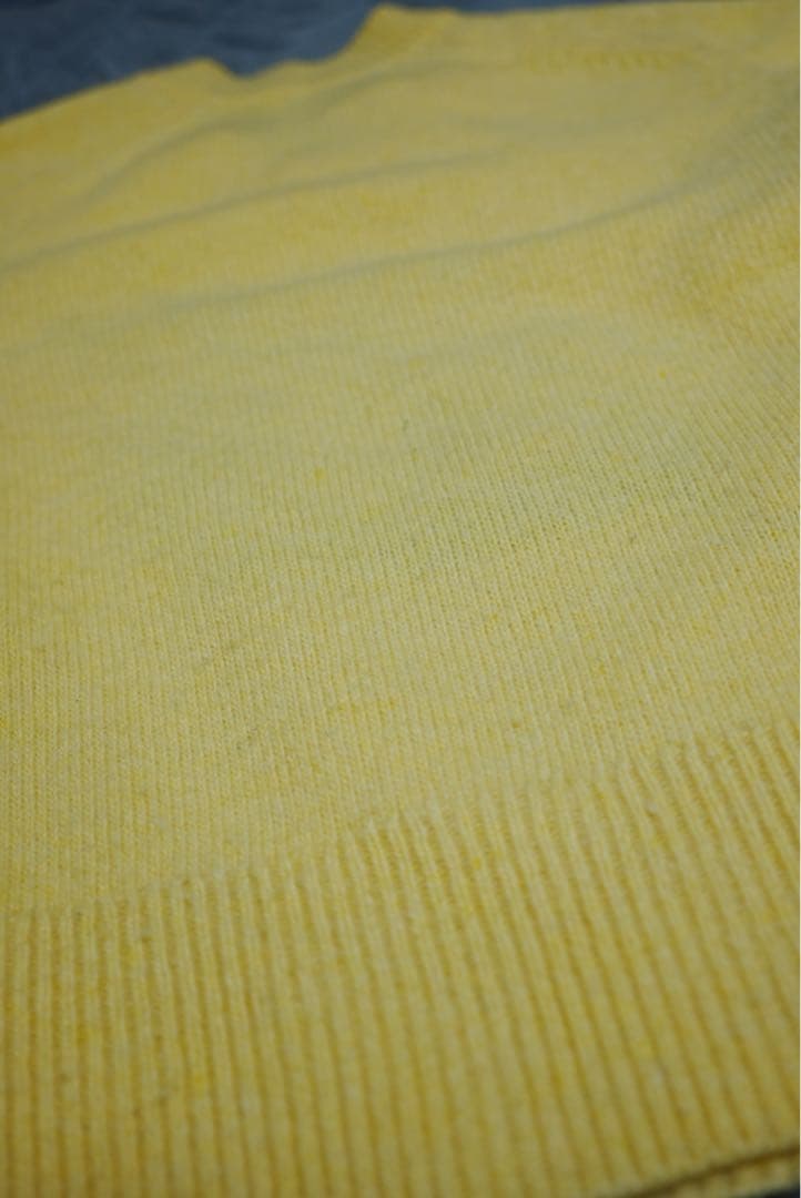 ZARA x Disney Harry Lambertプルート ニット L