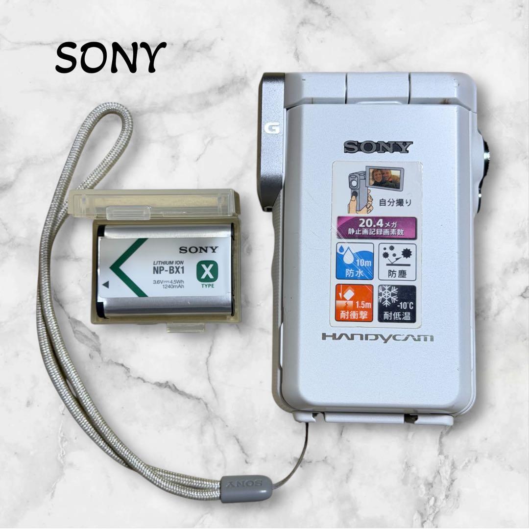 【SONY】ムービービデオカメラ ハンディカム HDR-GW66V 防水防振