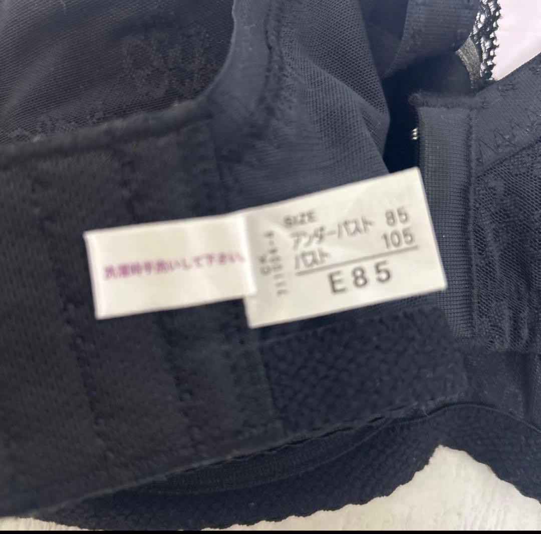 シャンデール　ブラジャーE85