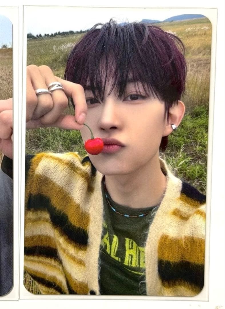 ALD1 ゴヌ EUPHORIA サノク 事前収録 限定 トレカ A