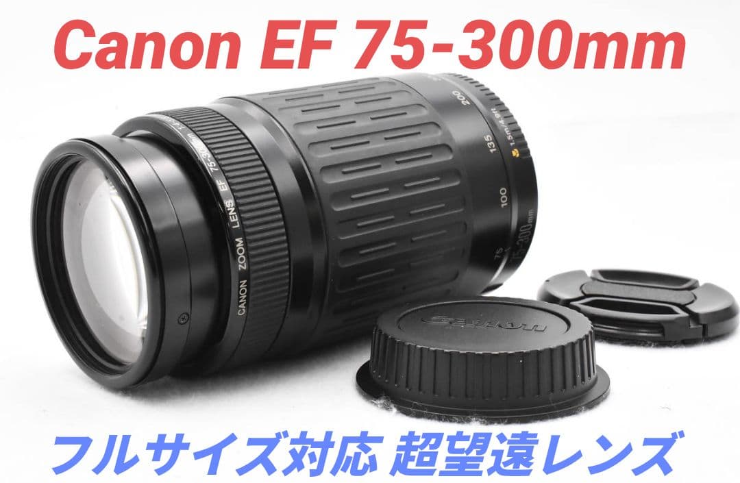 9月16日限定販売✨【超望遠レンズ】Canon EF 75-300mm