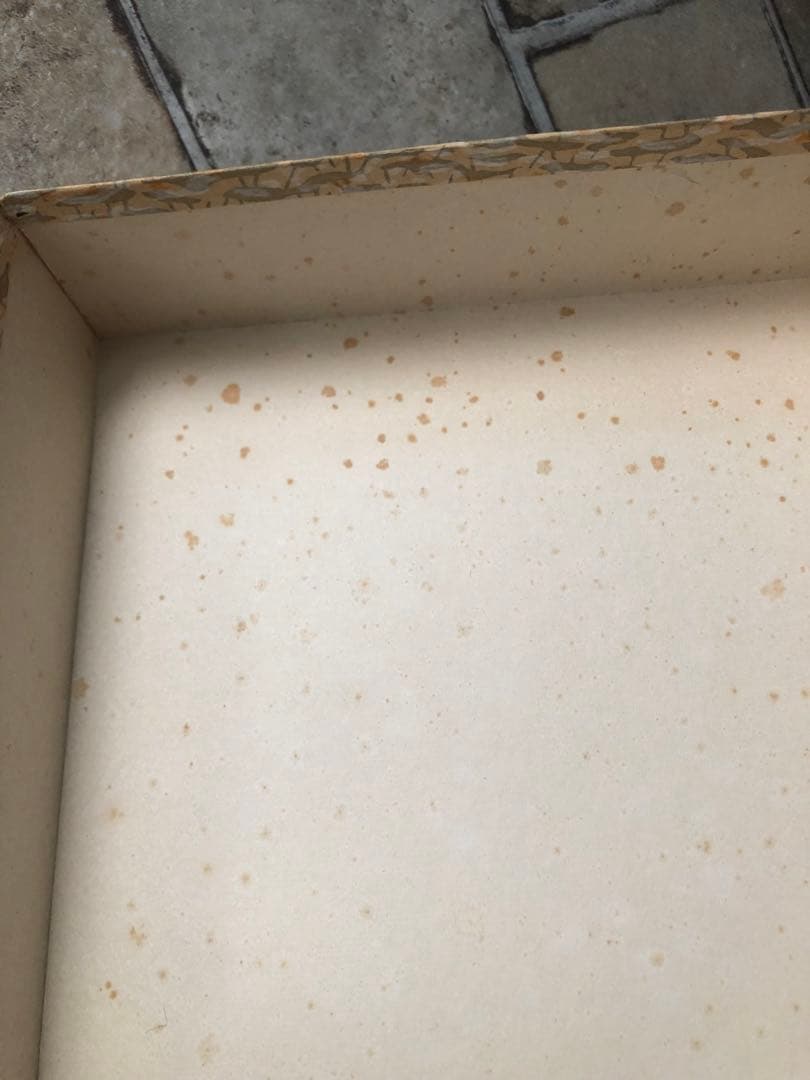 漆風箱入り　大人の書道セット