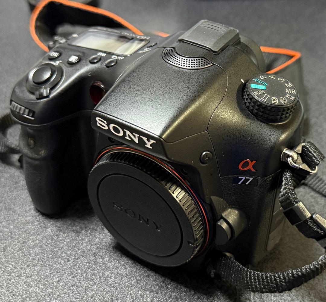 SONY α77 キットレンズ、シグマの望遠付き！