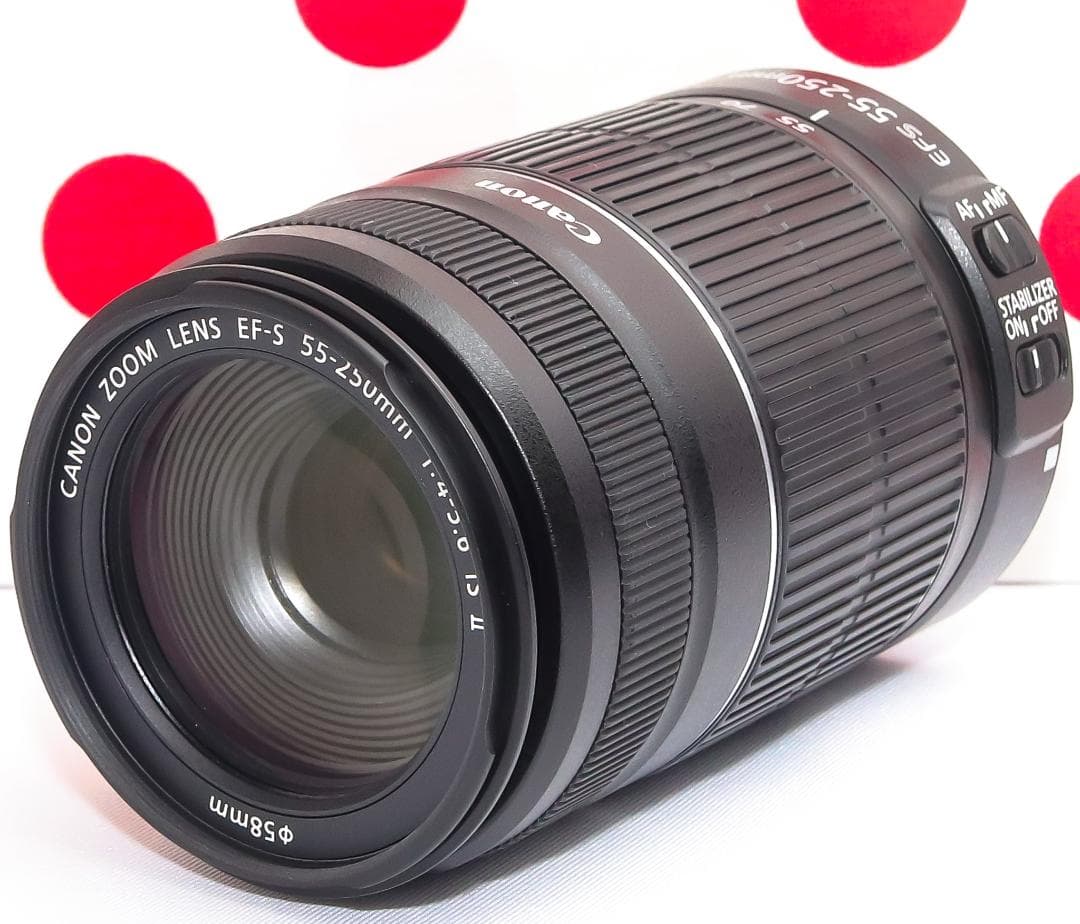 キャノン Canon EF-S 55-250mm IS II❤安心の手振れ補正付
