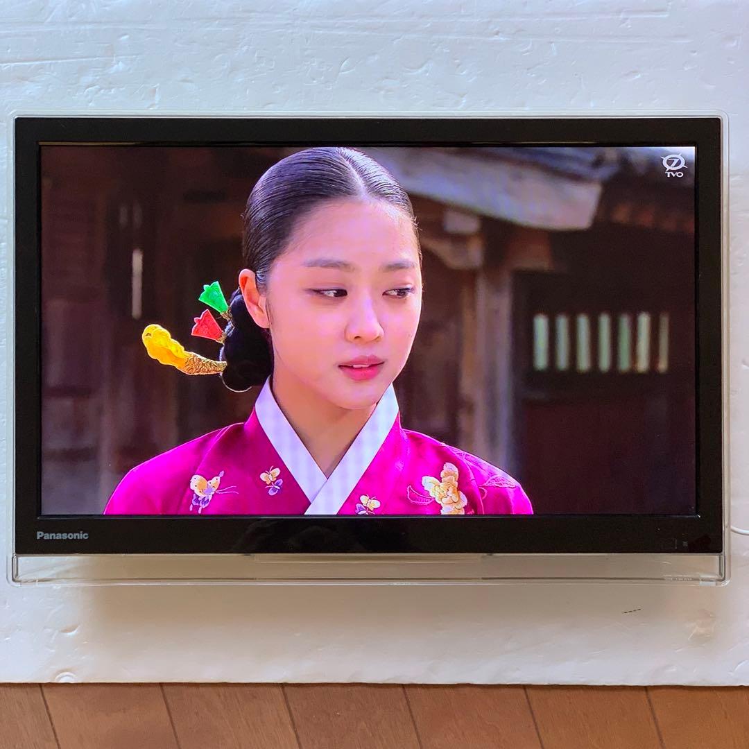 Panasonic UN-19F6D プライベートビエラ モニターのみ