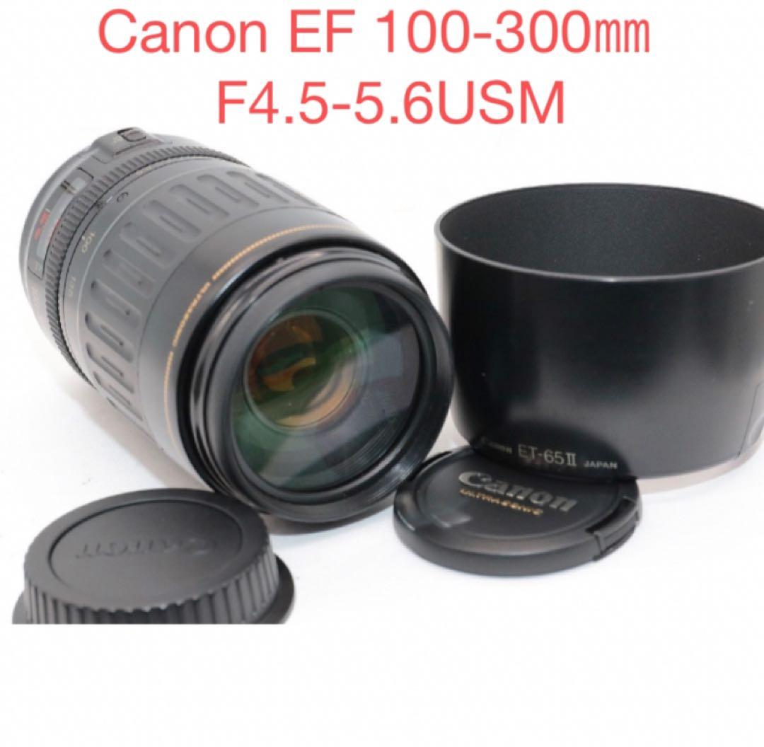 フード付き　キャノン Canon EF 100-300㎜ F4.5-5.6USM