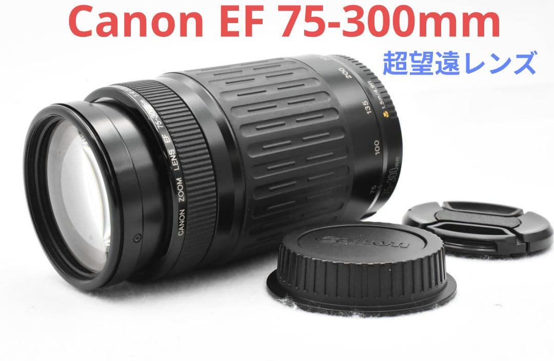 2月5日限定販売♪【超望遠レンズ】Canon EF 75-300m