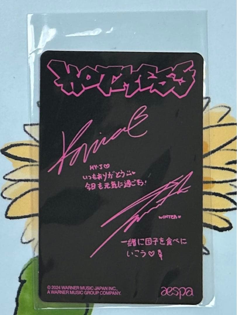 aespa hotmess 東京ドーム 会場限定 ユニット トレカ ジミンジョン