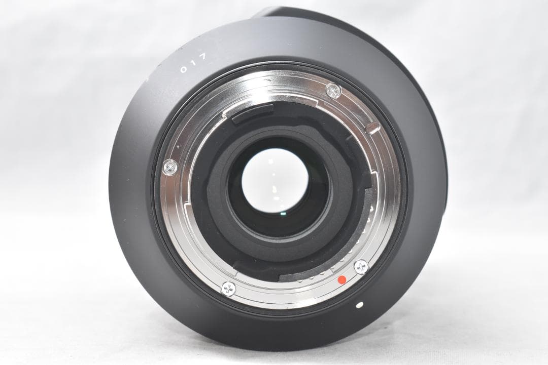 SIGMA 100-400mm F5-6.3 DG OS HSM ニコン