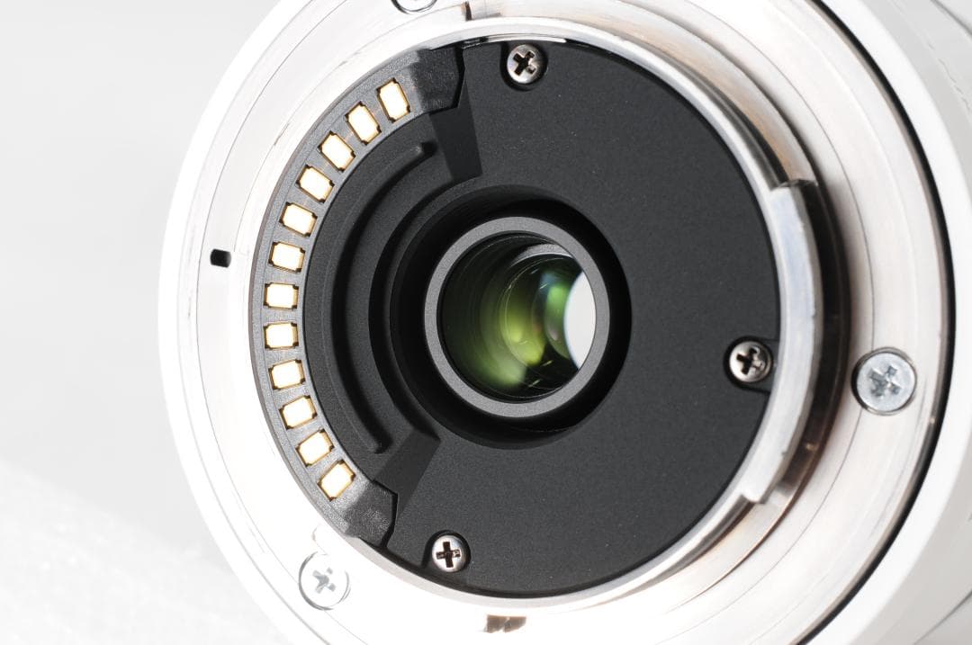 【超望遠レンズ】1 NIKKOR VR 30-110mm F3.8-5.6 白