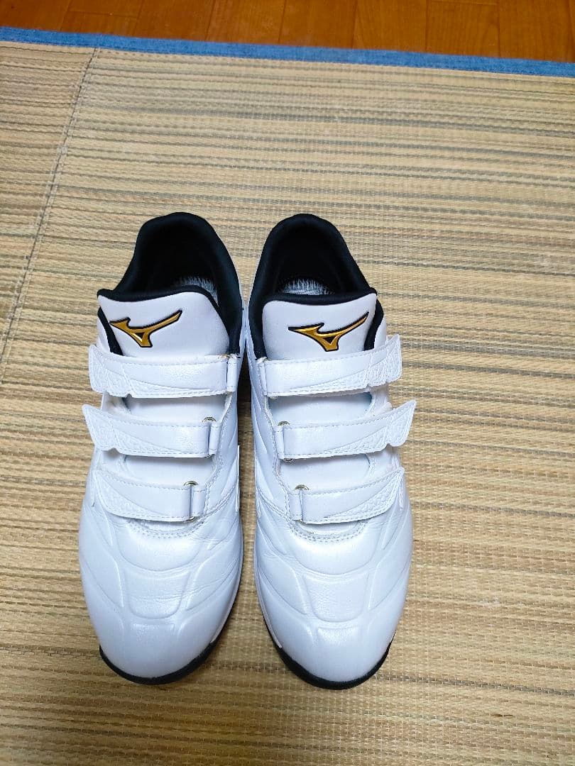 ミズノプロ　クッションレボプロトレーナー（27㌢）