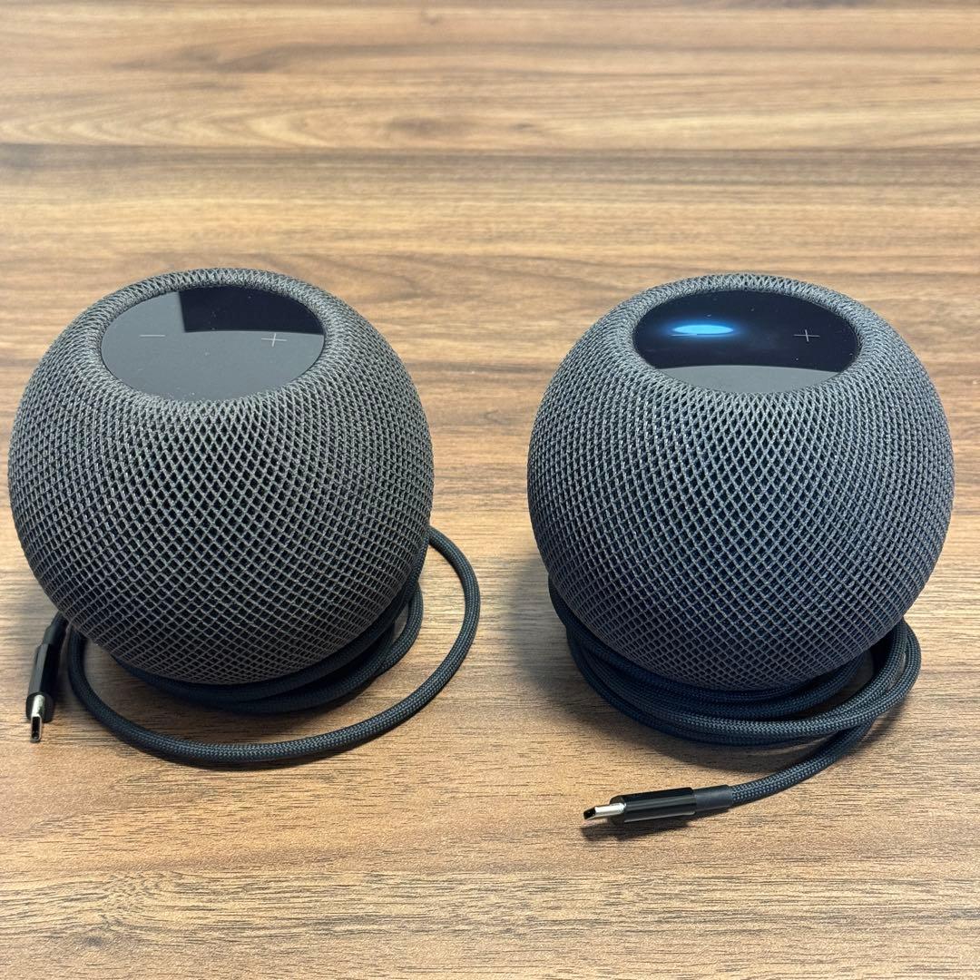 Apple Pod mini スペースグレイ 2個セット