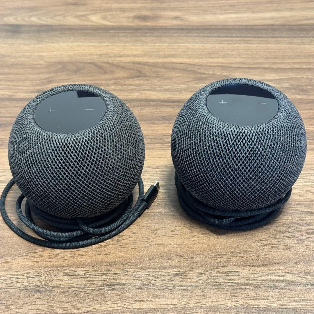 Apple Pod mini スペースグレイ 2個セット