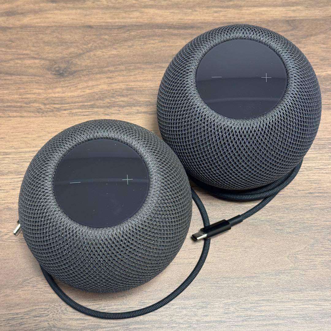 Apple Pod mini スペースグレイ 2個セット