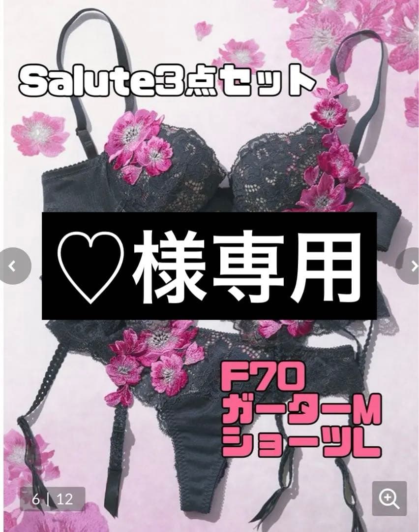 ♡Salute 3点セット F70 3点セット ワコール