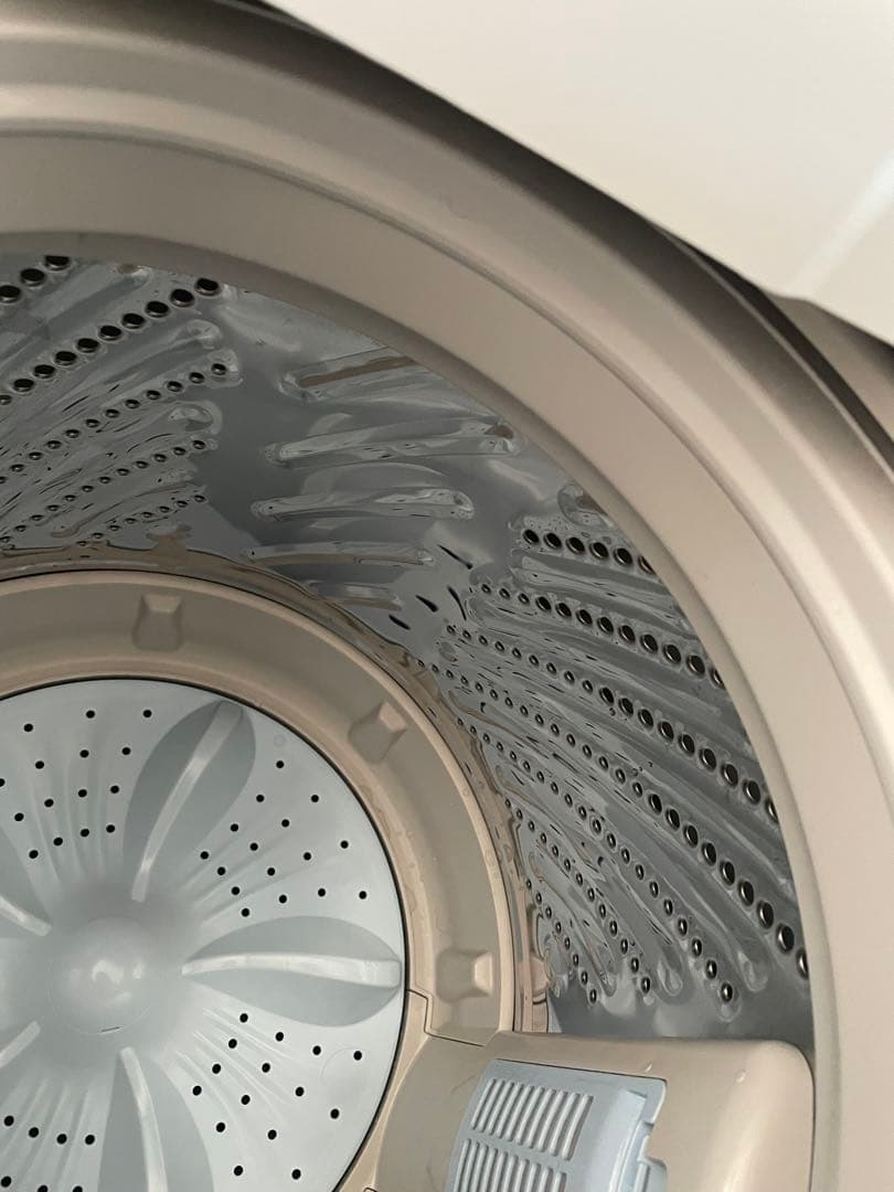 Hisense 洗濯機 HW-K55E 2025年製