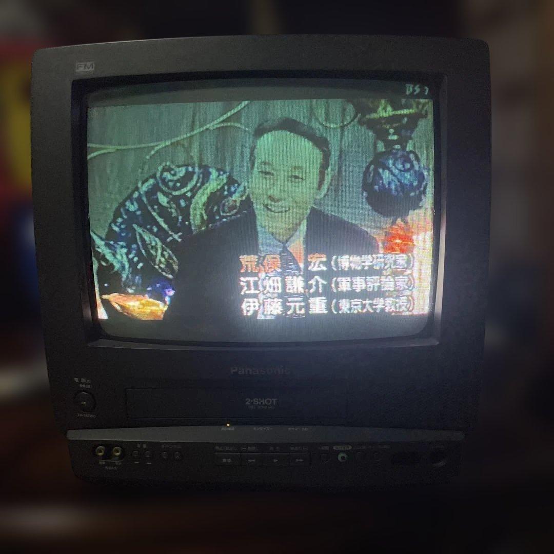 【美品】Panasonic カラーテレビデオ TH-14ZV10｜VHS再生OK