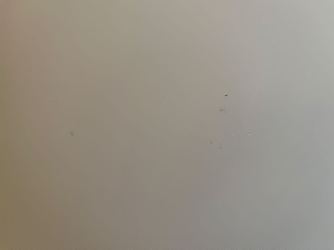 三菱ノンフロン冷凍冷蔵庫 MR-P15G-W1 白 146L 2022年製