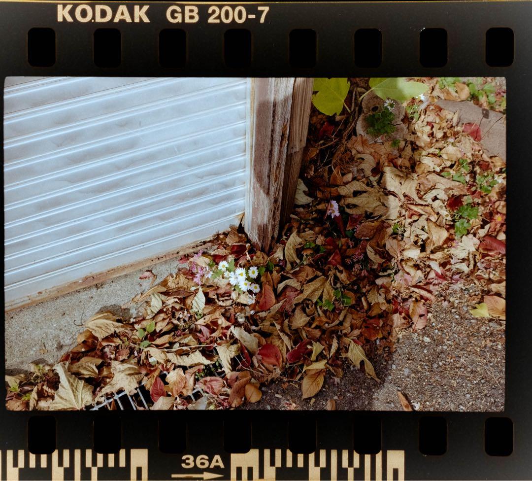 Leitz Elmar 35mm f/3.5 赤エルマー　ライカ　L39マウント