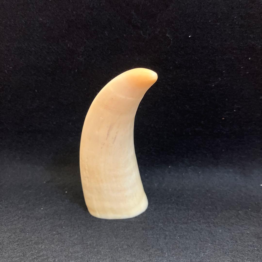 鯨歯　工芸品 ウサギ 彫刻 クリーム色