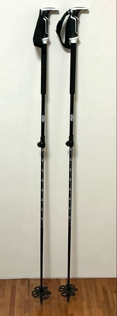BCA Scepter carbon セプター カーボン スキー ポール