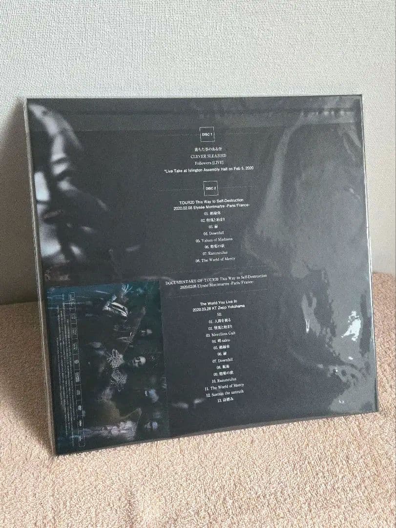 DIR EN GREY 落ちた事のある空 ぴあアリーナMM特別仕様 CD＋DVD