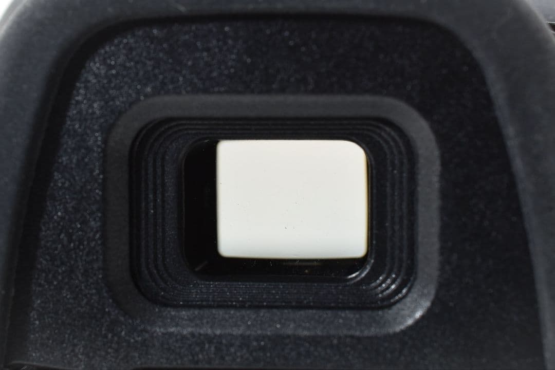 ショット数少✨美品✨Nikon D5100✨バリアングル✨手ブレ補正ダブルズーム