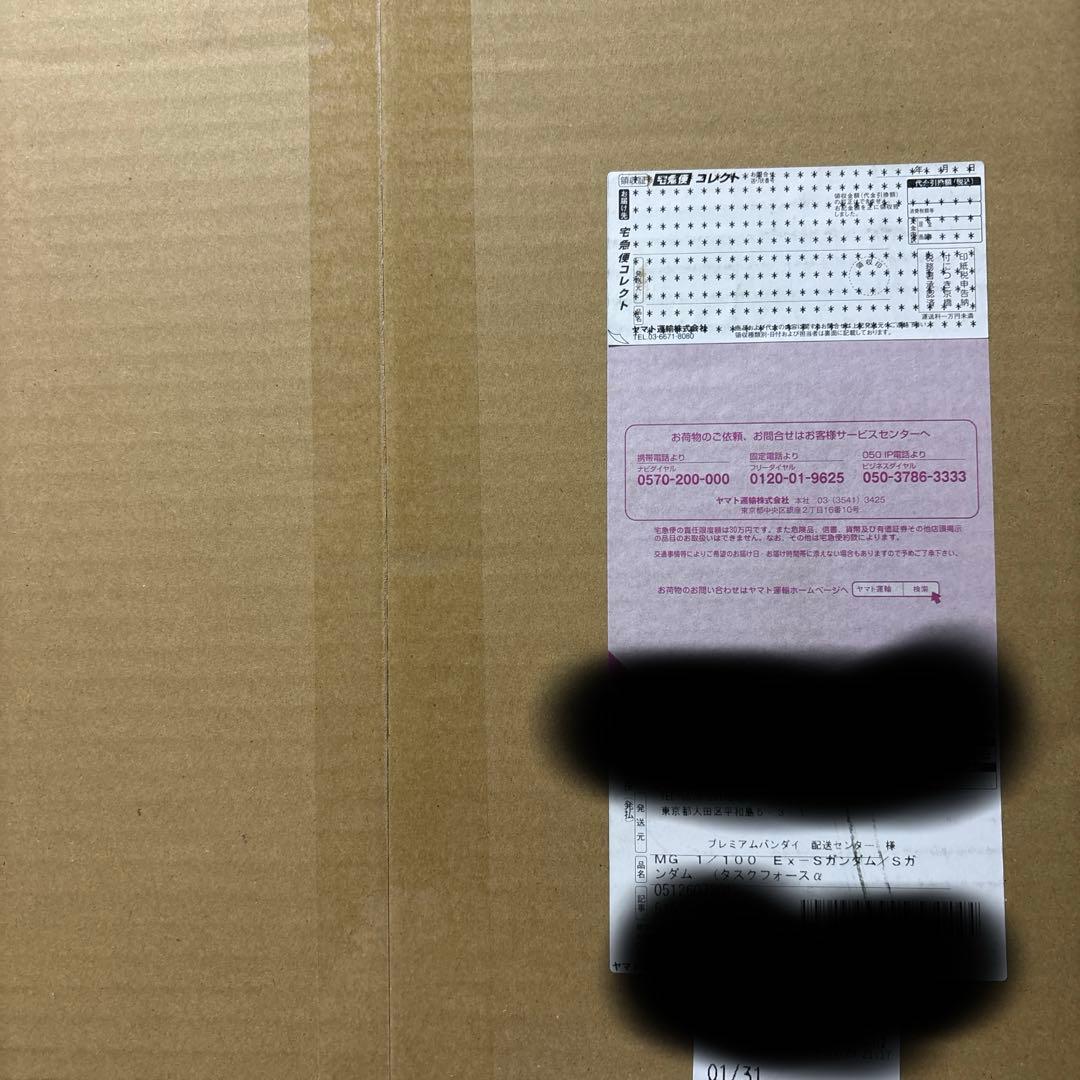 ＭＧ ex-sガンダム/sガンダム( タスクフォースα ver ）