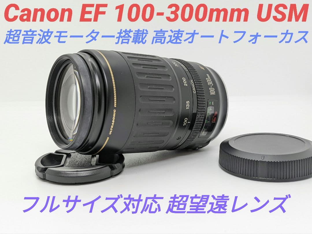 1月26日限定価格♪Canon EF 100-300mm USM