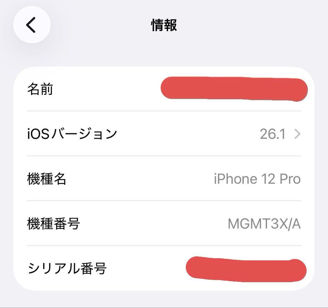 【海外版】iPhone12 pro 256GB