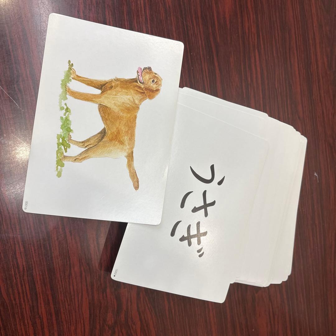 かな絵ちゃん A/Bセット 12個