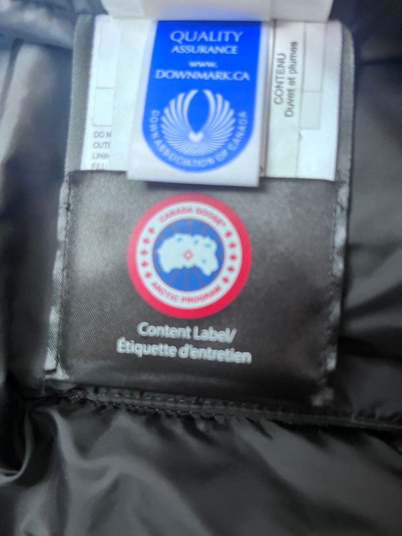 カナダグース⭐︎ 