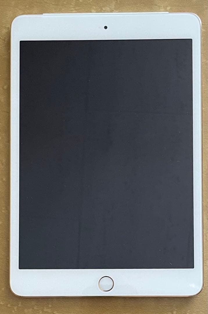 iPad本体 iPad mini 3