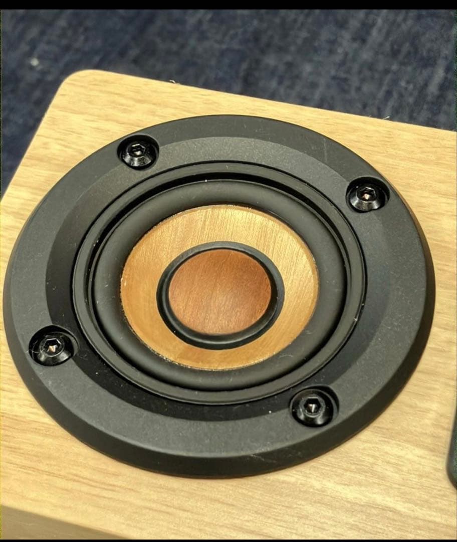 ビクター　EX-DM10　WOOD CONE Victor