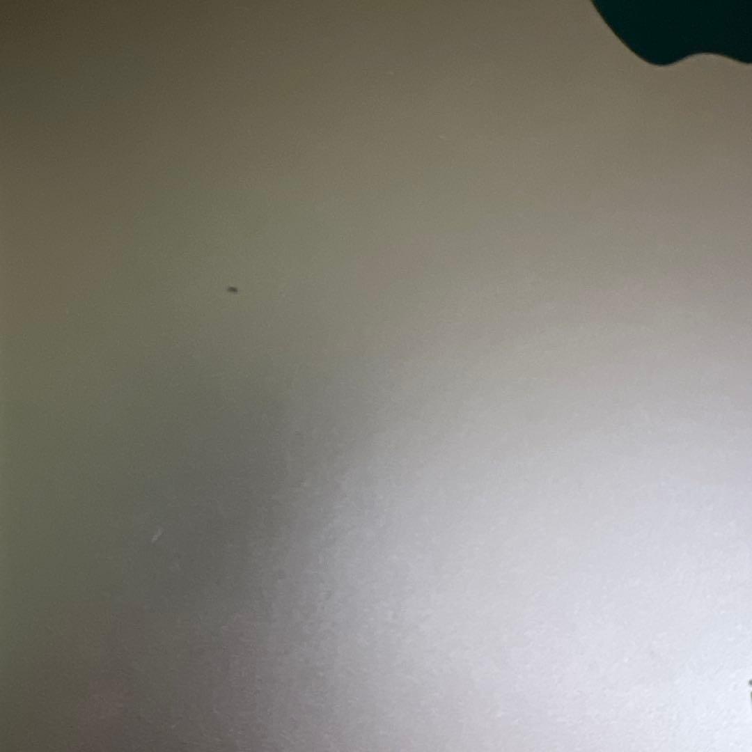 ipad 第6世代　A1893 32GB ゴールド　MRJN2J/A