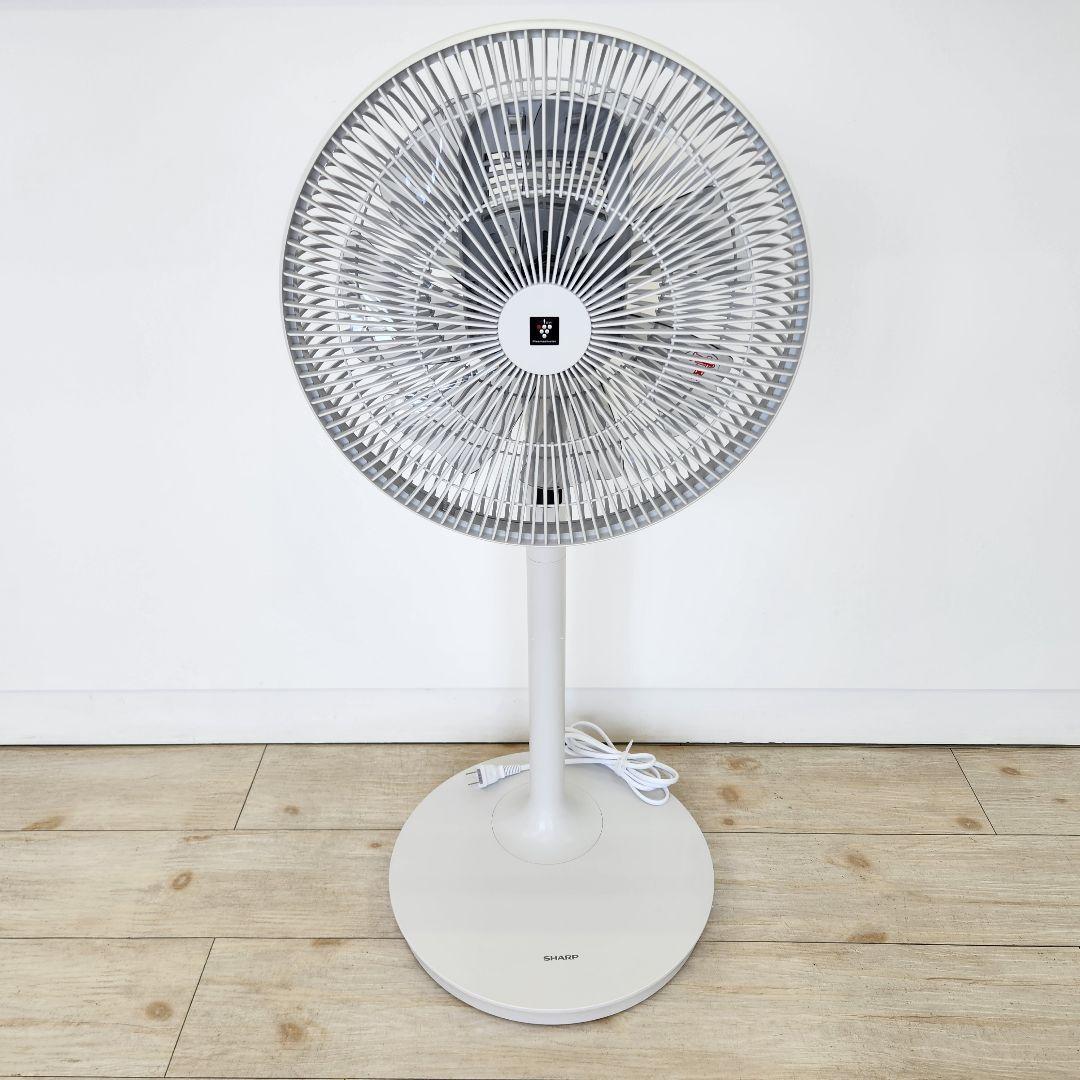 シャープ プラズマクラスター 扇風機 2025年製 PJ-T3DS-W 美品