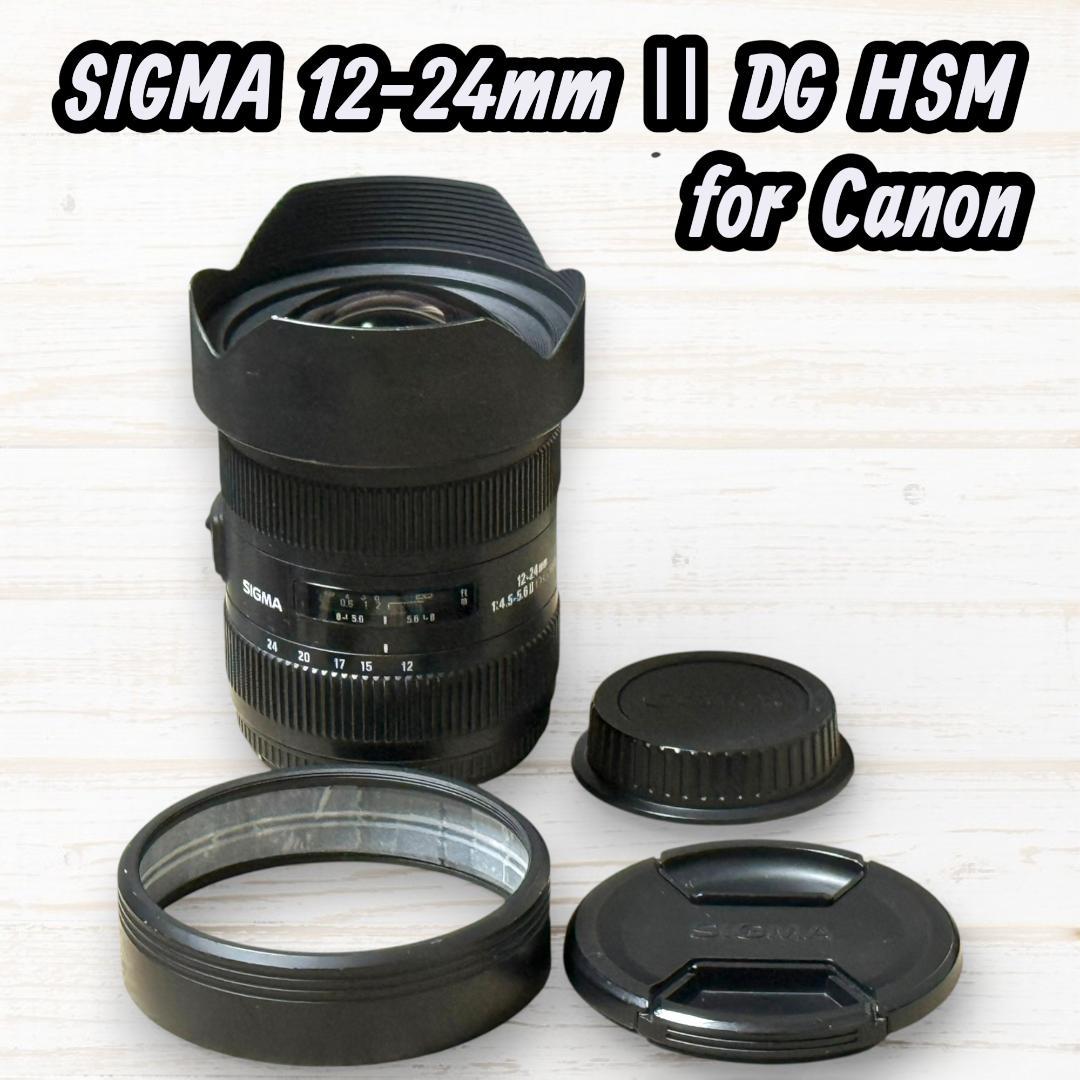 SIGMA 超広角レンズ 12-24mmⅡDG HSM Canon用 #286