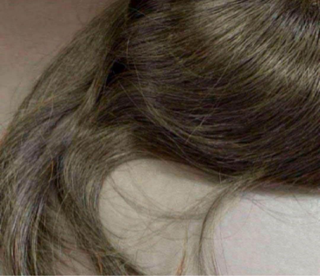 HairDre ヘアドレ　L② 人毛100%ウィッグ ダークブラウン黒茶