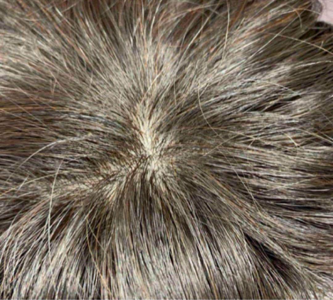 HairDre ヘアドレ　L② 人毛100%ウィッグ ダークブラウン黒茶