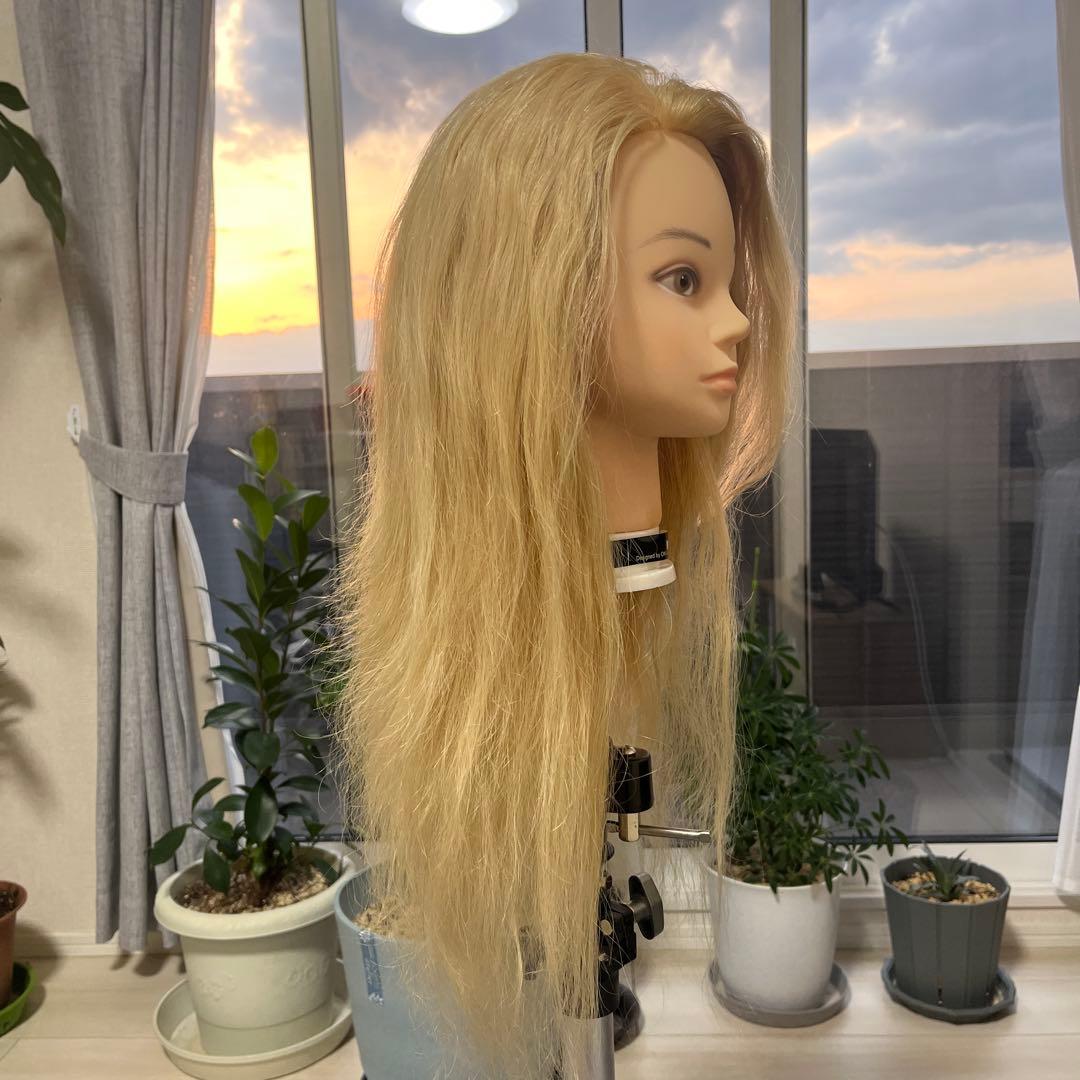 アップ練習ウィッグ　ヘアセット用ウィッグ(カットも可) 美容師必見