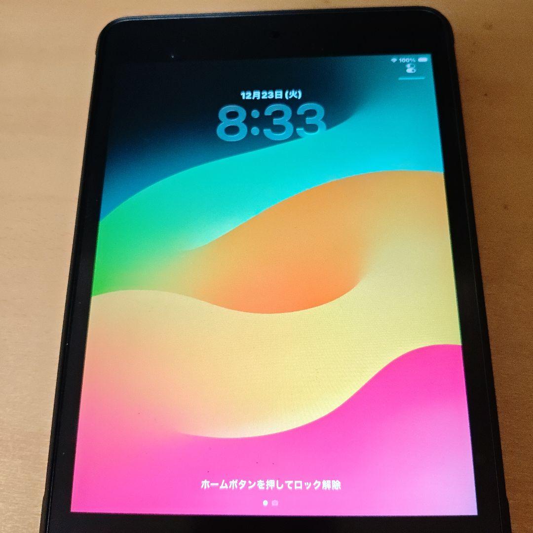 iPad mini (第5世代) 本体　256gモデル