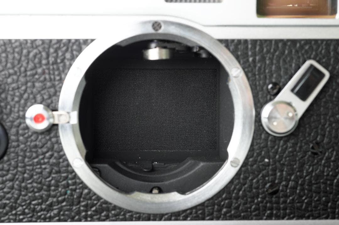 ライカM5　ボディ　白　極上品