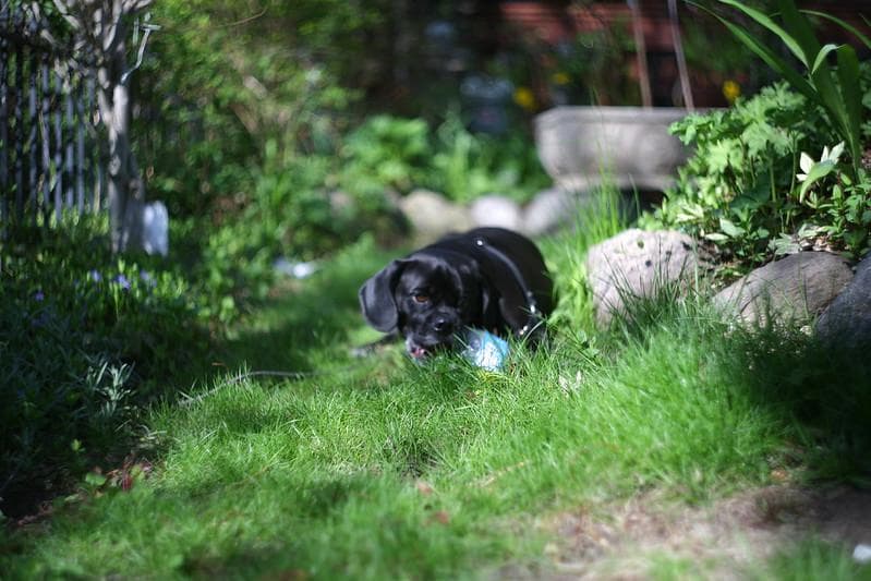 23 デッドストック　ぐるぐるボケレンズ　ヘリオス　44-2　M42アダプター付