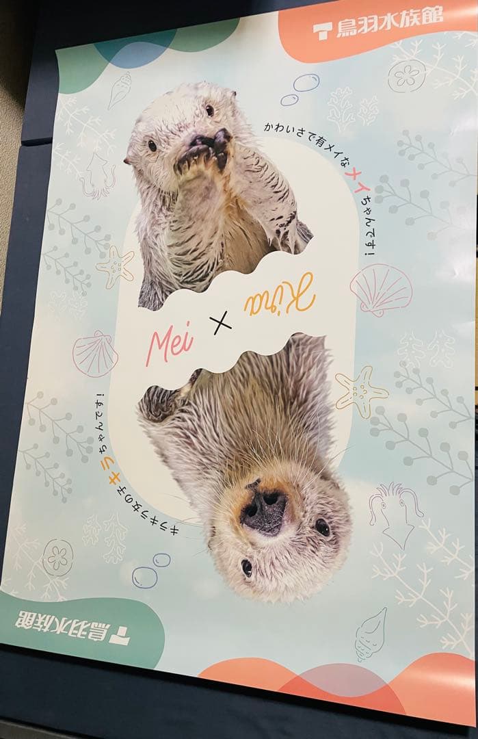 鳥羽水族館⭐️⭐️ポスター⭐️ラッコ⭐️メイ⭐️キラ