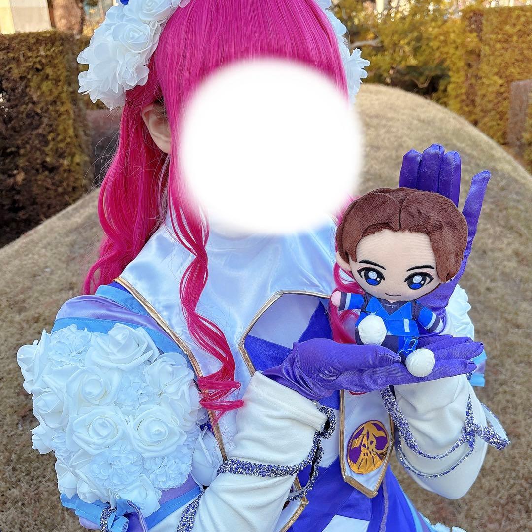 ナンバーワン戦隊ゴジュウジャー 慈愛のブーケ コスプレ フルセット