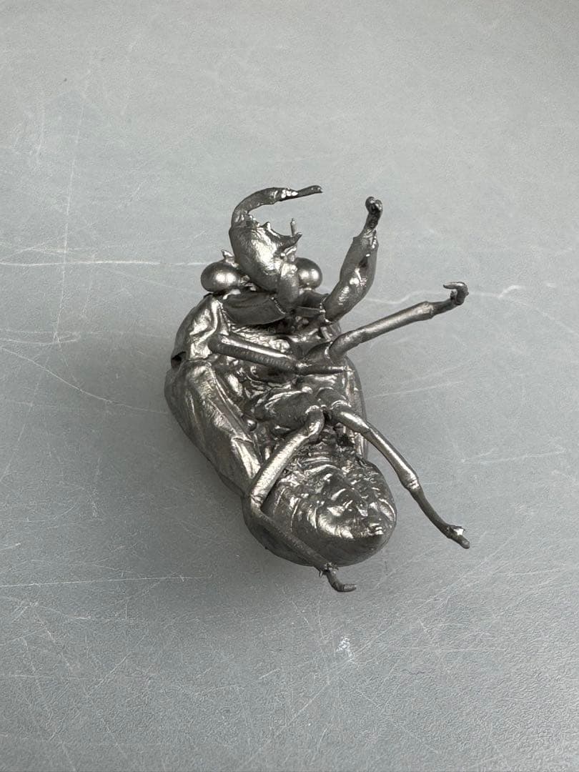 蝉　蝉の抜け殻　セミ　オブジェ　虫好き　金属製　標本