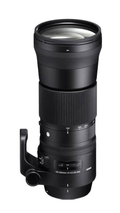 【新品】SIGMA 150-600mm F5-6.3 DG OS HSM ニコン
