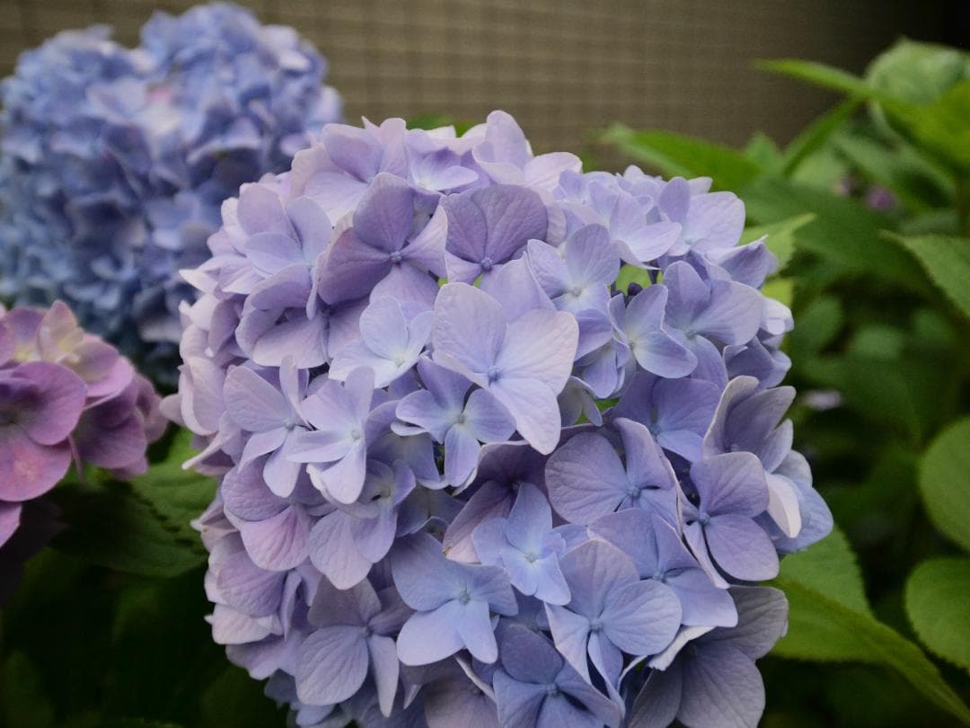 【良品】LUMIX 7-14mm f/4 ASPH. 超広角ズームレンズ